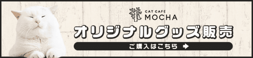 MOCHA オリジナルグッズ販売