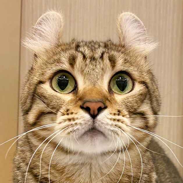 エト