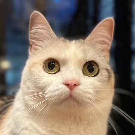 のん
